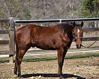 looks-colt