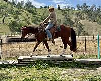 nothing-better-horse