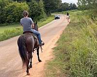 black-kid-safe-horse