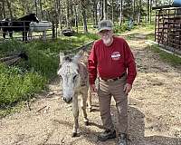 drive-donkey