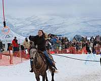 all-mountain-pleasure-horse