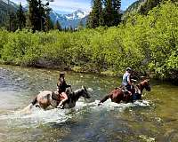 arena-mountain-pleasure-horse