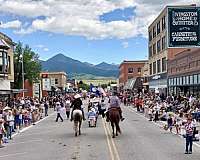 arena-work-mountain-pleasure-horse