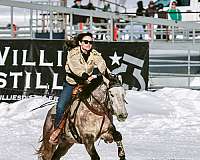 back-mountain-pleasure-horse