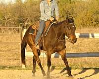trail-riding-quarter-horse