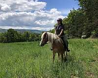 blaze-horse
