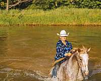 barrel-appaloosa-horse