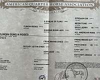 sorrel-quarter-horse-filly