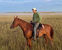 river-mule