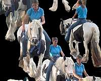 kid-safe-gypsy-vanner-horse