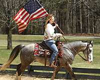 bombproof-horse-quarter