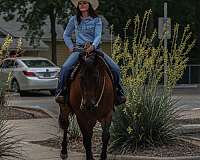 flashy-quarter-horse