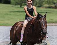 roping-quarter-horse