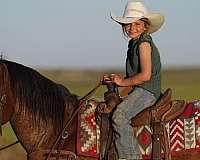 kid-safe-quarter-horse