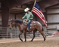 ranch-quarter-horse