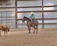 trail-riding-quarter-horse