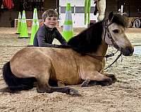 athletic-miniature-pony