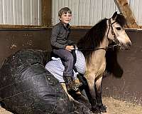 barrel-miniature-pony