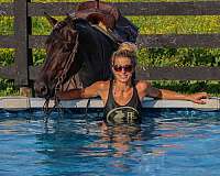 beginner-quarter-horse