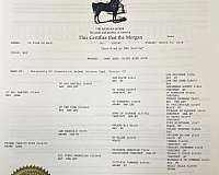 during-morgan-horse