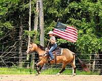 athletic-quarter-horse