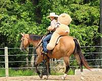 ranch-quarter-horse