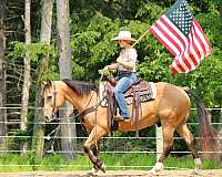 roping-quarter-horse