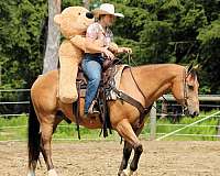 trail-quarter-horse