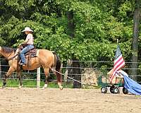 trail-riding-quarter-horse