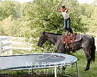 blue-roan-curly