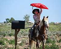 ranch-work-paint-pony