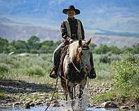 trail-riding-paint-pony