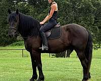 smaller-quarter-pony