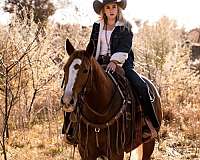 ranch-quarter-horse