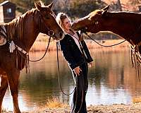 roping-quarter-horse