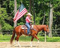 athletic-quarter-horse