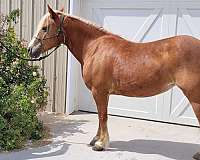 working-eq-mare