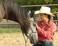 ridden-western-quarter-horse