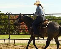 trail-riding-quarter-horse