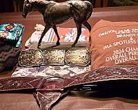 horsemanship-appaloosa-horse