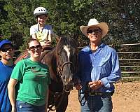 ranch-quarter-horse