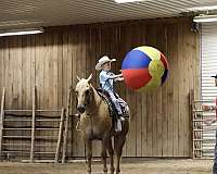 playday-quarter-horse