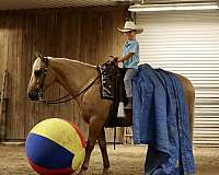 ranch-quarter-horse