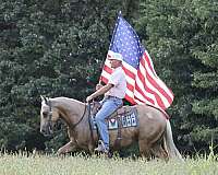 ranch-versatility-quarter-horse