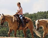 trail-riding-quarter-horse