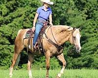 flashy-paint-horse