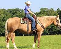 kid-safe-paint-horse