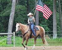 ranch-work-paint-horse