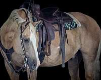 trail-paint-horse