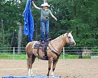 trail-riding-paint-horse